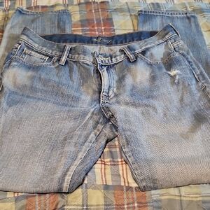 The Diva Women's Classic Light Blue Straight Leg Jeans